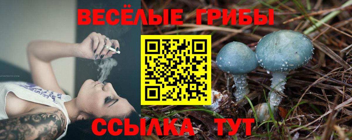 Псилоцибиновые грибы Magic Shrooms Евпатория
